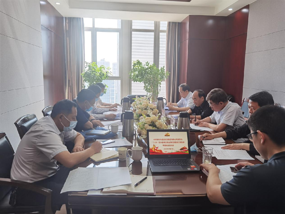 dcbox小金库官网党委领导班子召开“7·20”特大暴雨灾害追责问责案件以案促改专题民主生活会